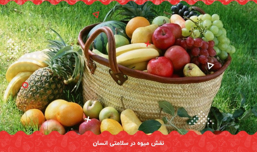 نقش میوه در سلامتی انسان