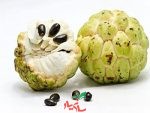Cherimoya